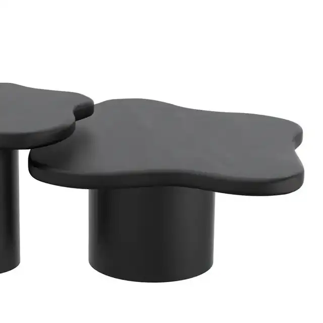 Mayal Large Coffee Table in Black