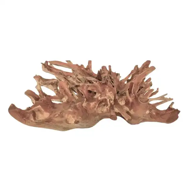 Hand-Carved Teak Root Coffee Table