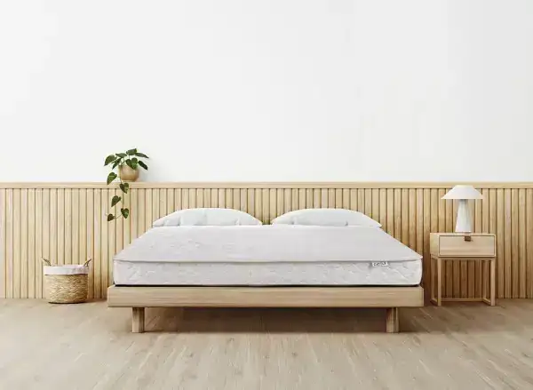 6.5'' QUEEN MATTRESS