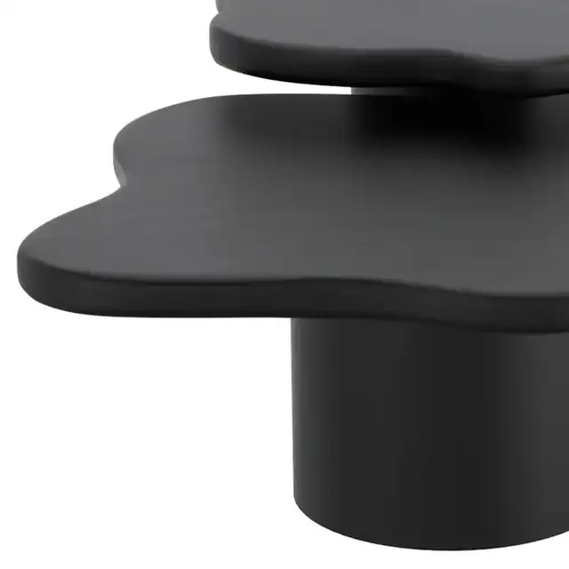 Mayal Large Coffee Table in Black