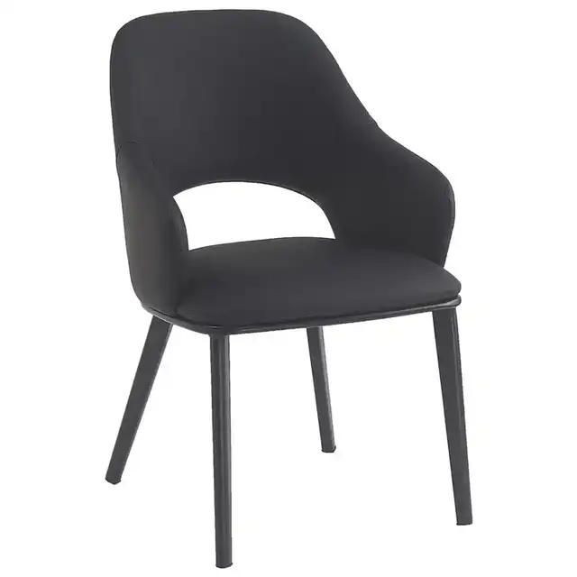 Denzel Dining/Lounge Chair — 1 Chair