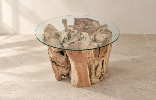 Amara Teak Root Coffee Table — Elevated Front