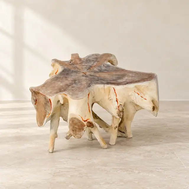 Root Coffee Table