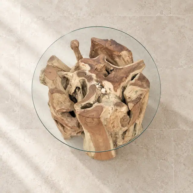 Amara Teak Root Coffee Table — High Angle