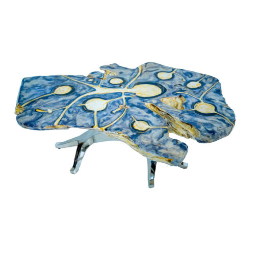 Petrified Wood Coffee Table