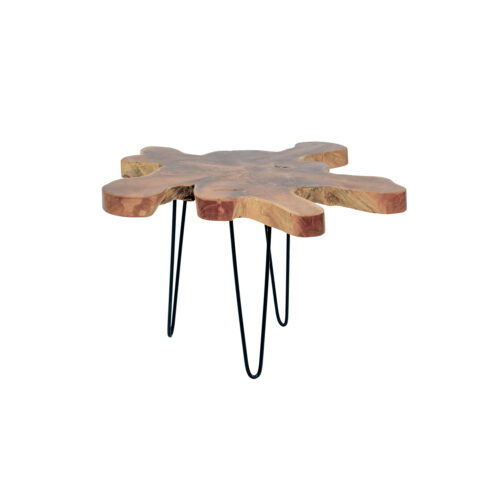 Live Edge Teak Side Table