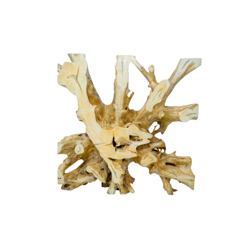 Ivory Teak Root Table
