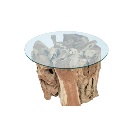 Amara Teak Root Coffee Table