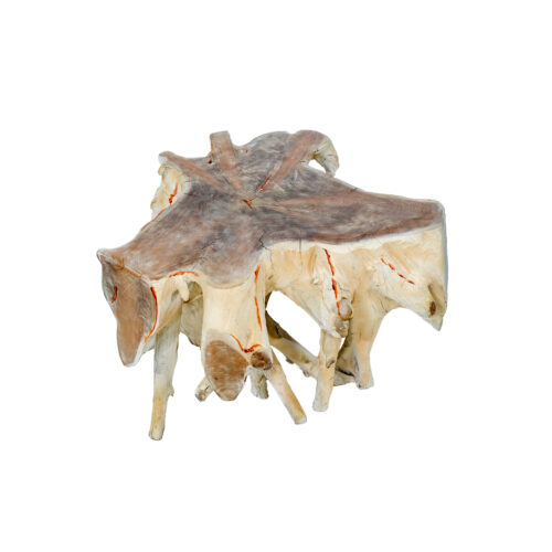 Root Coffee Table