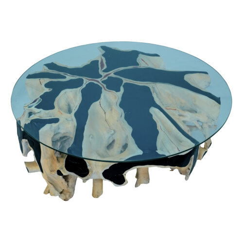 Ivory Teak Root Coffee Table