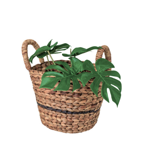 Rattan Basket