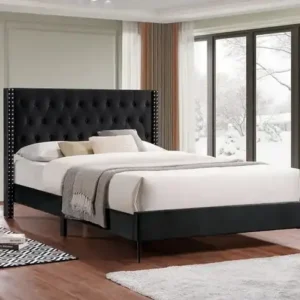 IF 5593 (Black) - 60" Queen Bed