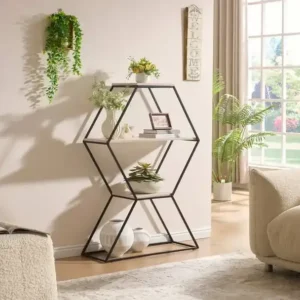 IF 3250 - Geometric Display Shelf