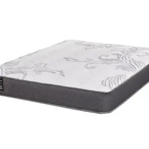 Accord Gel Foam (10") - 39" Single