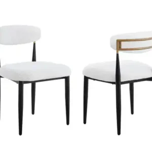 DINING CHAIR WHITE/BLACK — 1 Chair