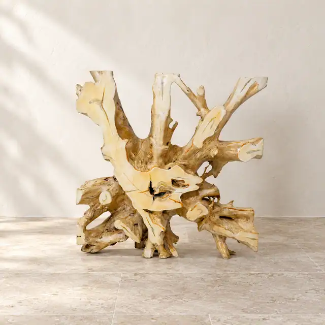 Teak Root Accent Table in Soft Beige Finish — Front View