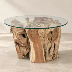 Amara Teak Root Coffee Table — Front