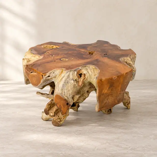 Teak Root Coffee Table — Low Front View